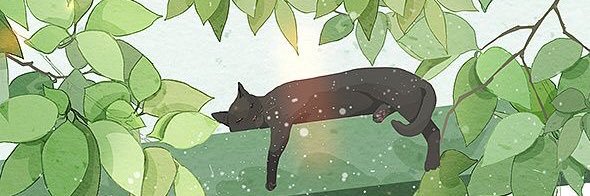 caicoo2000's profile banner image