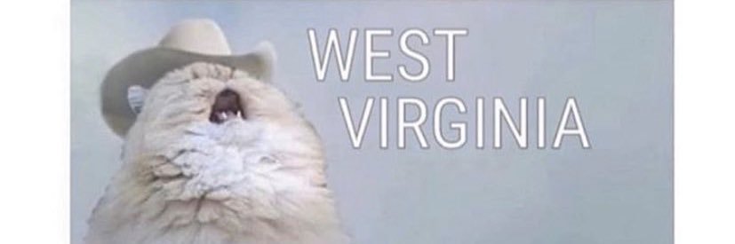 meshkeee's profile banner image