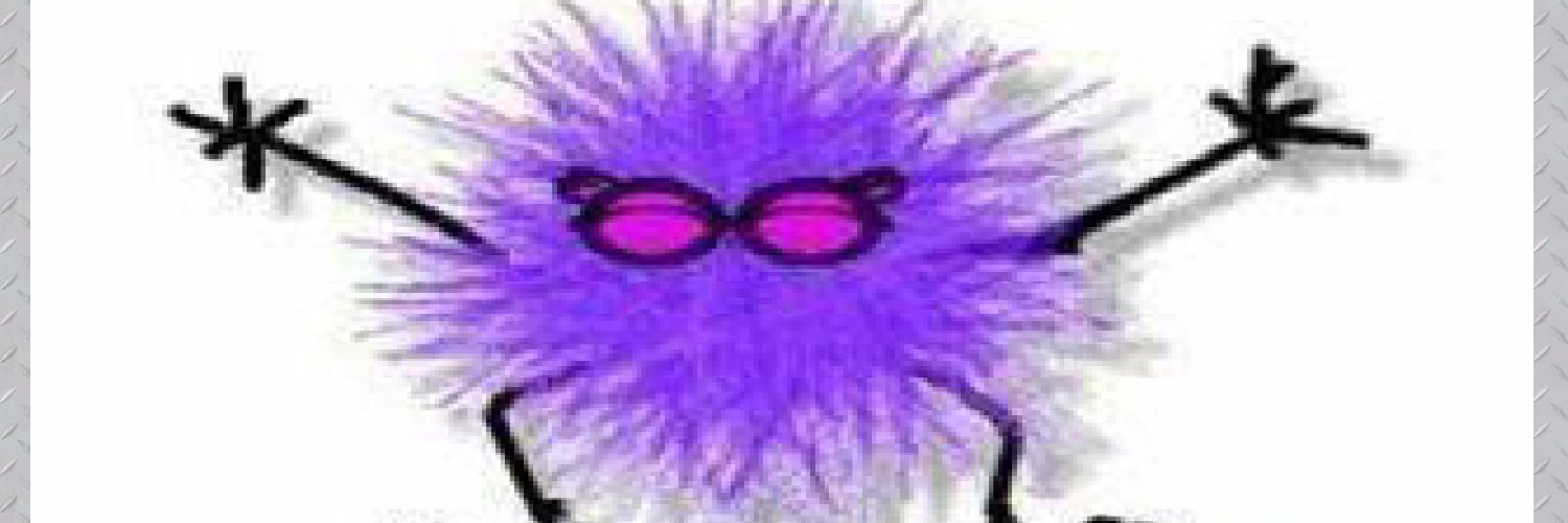 William Snesrud banner