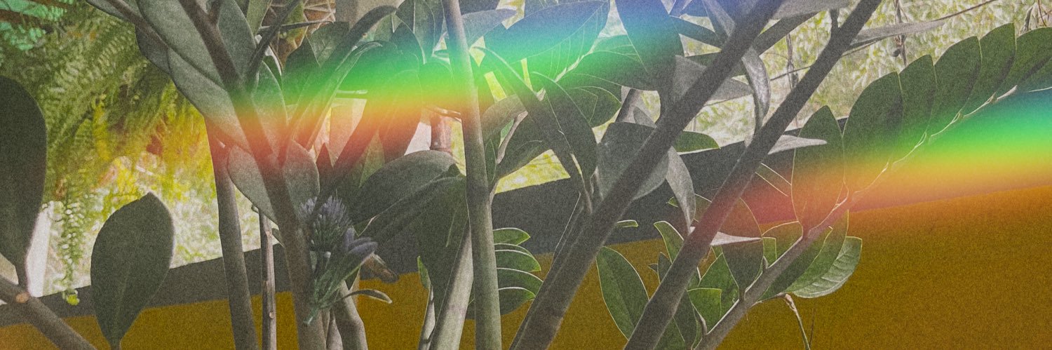 Falena🪽 banner