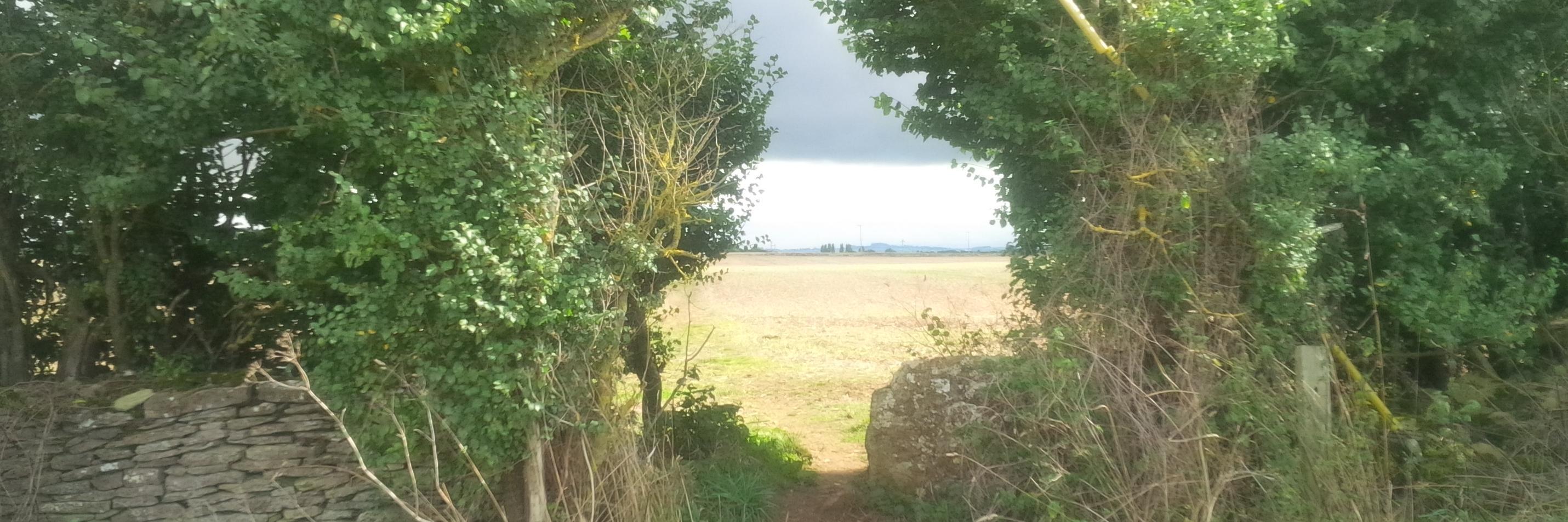 Stuart Edmonds (he/him) banner