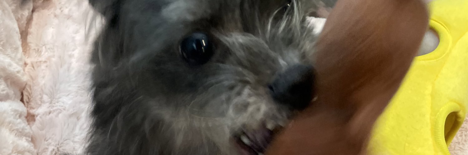 PaytonDavis's profile banner image