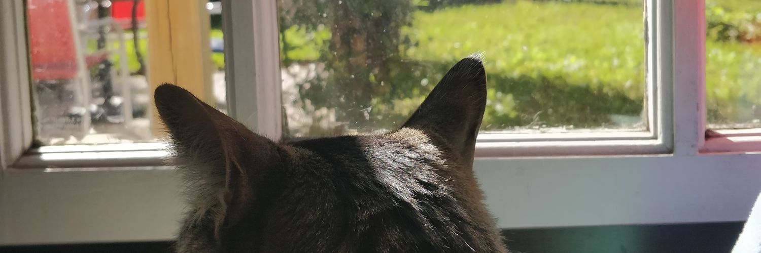 PowerBeanie's profile banner image