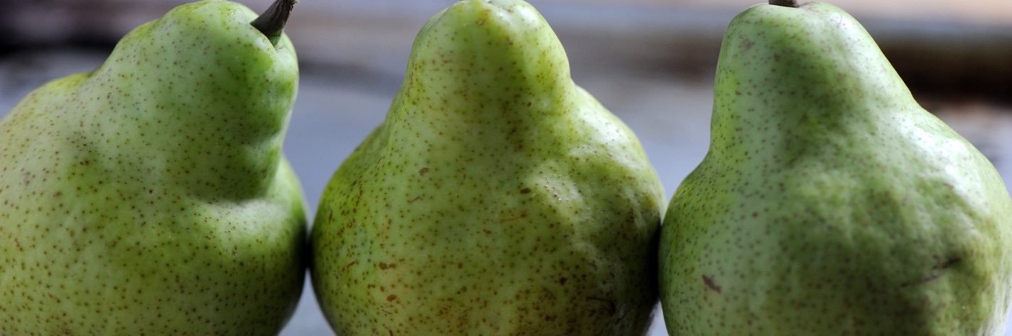 ThoughtsandPears banner