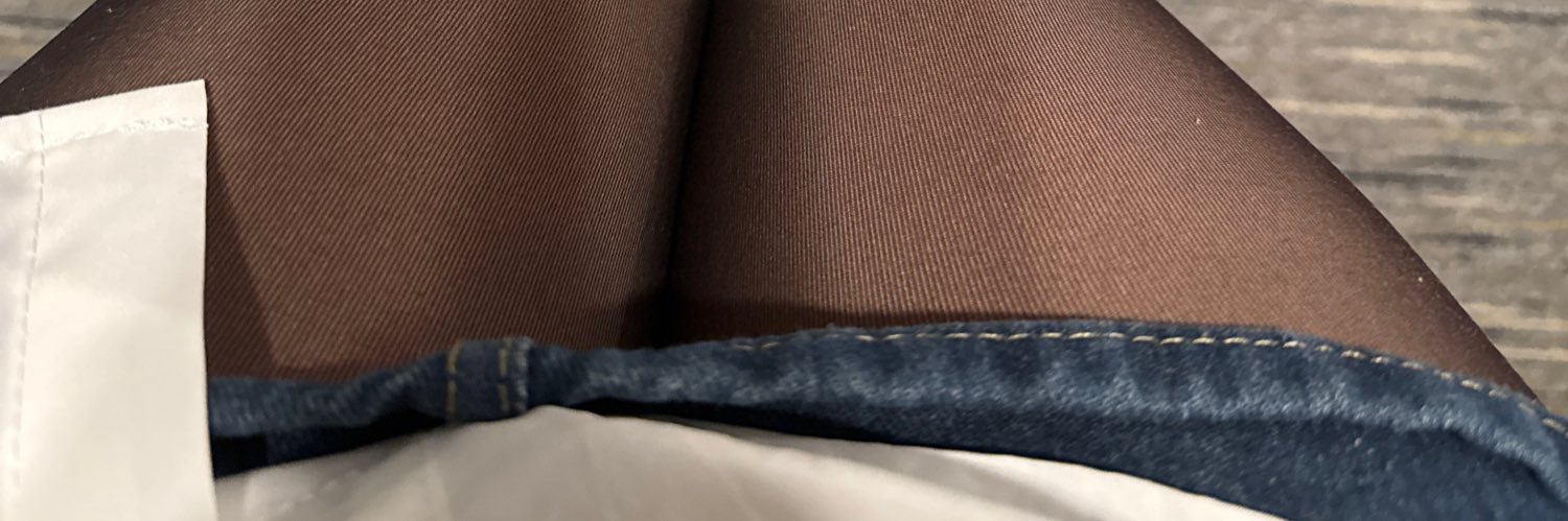 子慧 Venus banner
