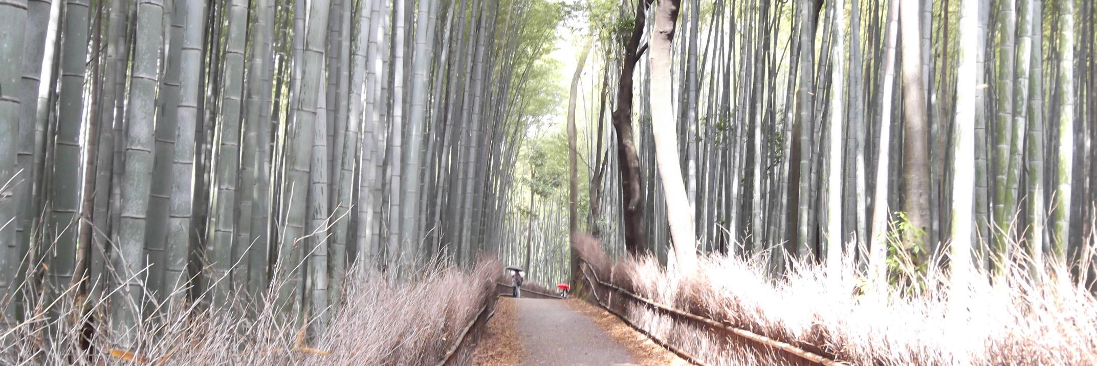 らるちん(漏) banner