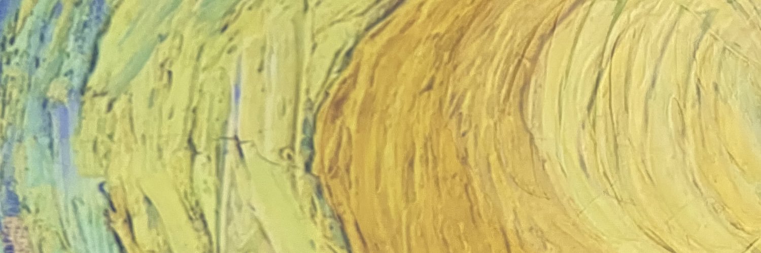The_saltnLight's profile banner image