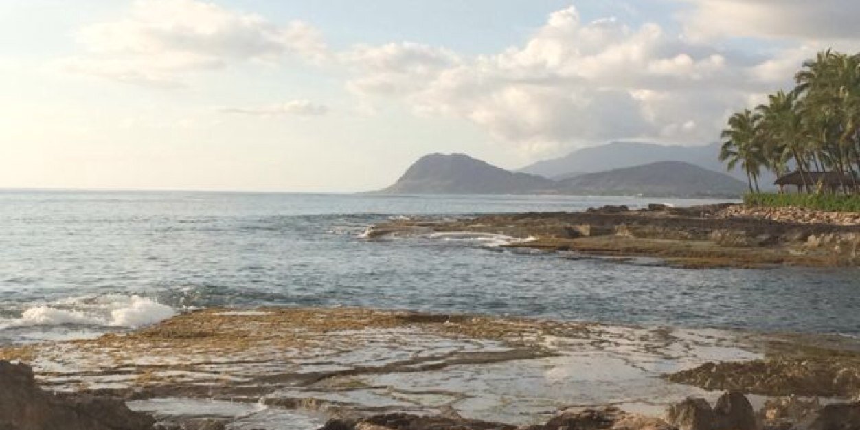 TravisChristia5's profile banner image