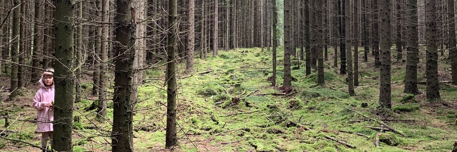 Richard Sweeney banner