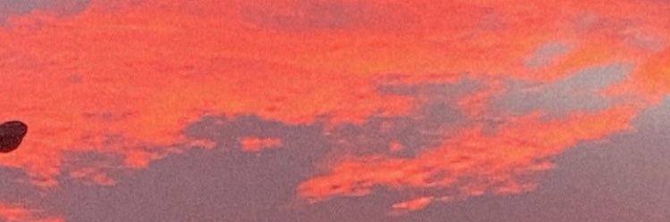 ma_joo29's profile banner image