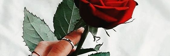 _san_quotes__'s profile banner image