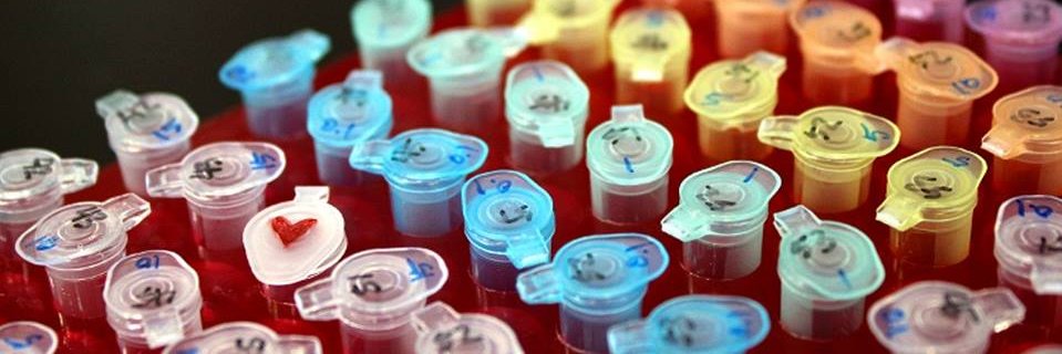LaboratoryEQAS's profile banner image