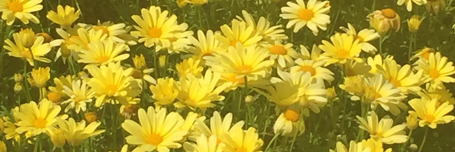 brennmurray's profile banner image