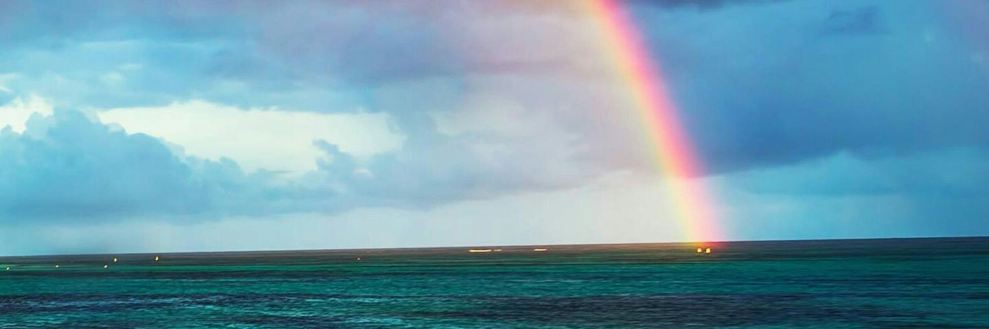 marn1980's profile banner image
