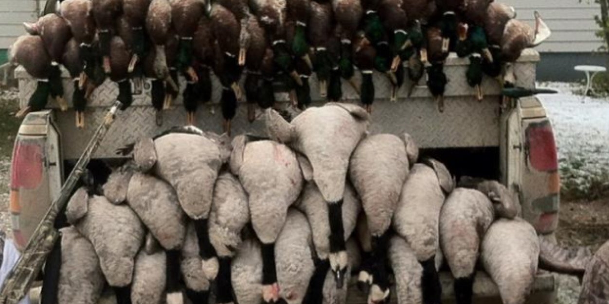 duckbanger's profile banner image