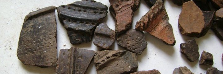 Dr. Susan Kooiman banner