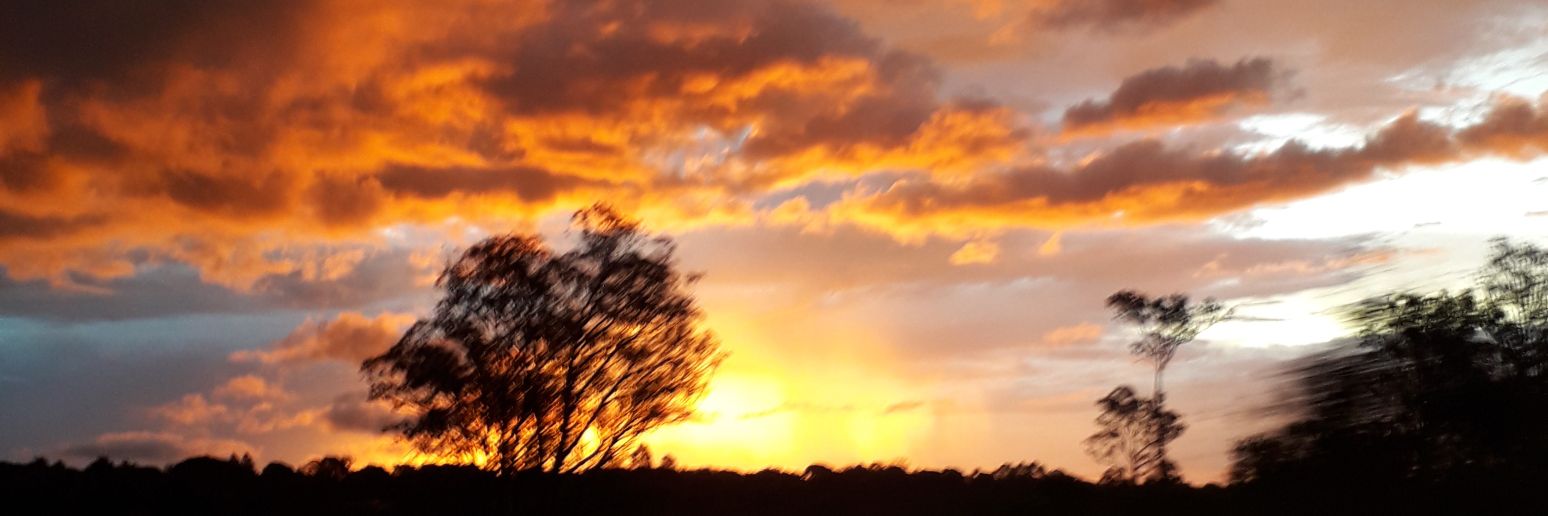 luluskka's profile banner image