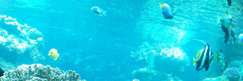 د. مترك الصالح - مستشار أسري ومدرب اجتماعي معتمد banner