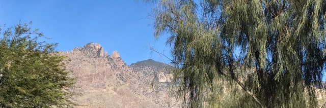 Dr. Esther Sternberg banner