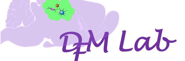 Dinorah Friedmann-Morvinski - DFM Lab Profile Banner