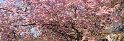 Education Studies Winchester banner