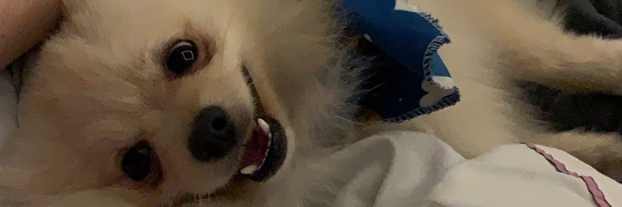 JuuhOlmi's profile banner image