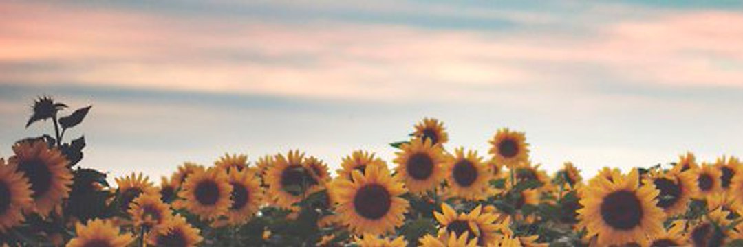 Jer🌟 banner