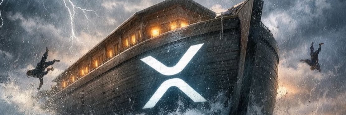 XrpFocus's profile banner image