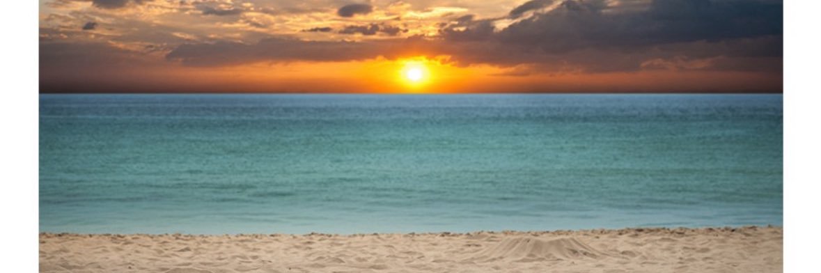 Angela Spessotto banner