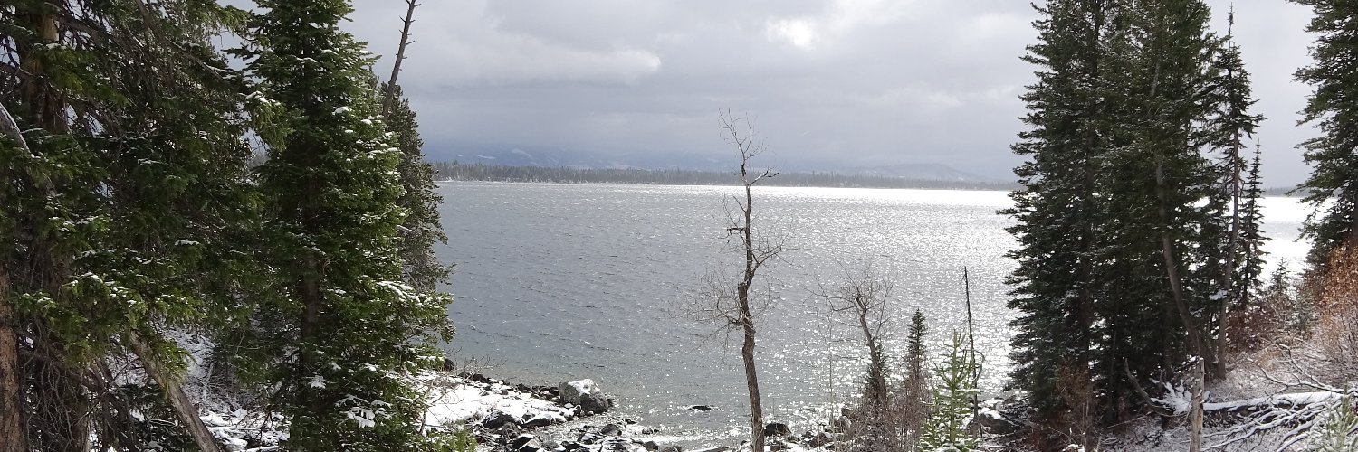 Conan the Biologist banner