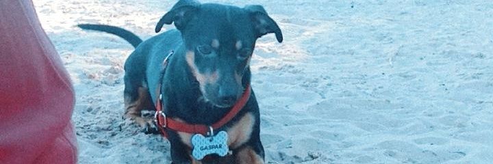 BrenHeltner's profile banner image