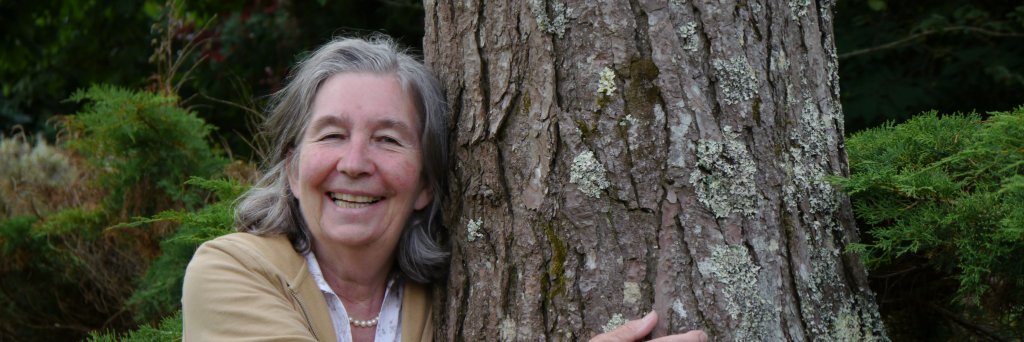 Call of the Forest banner