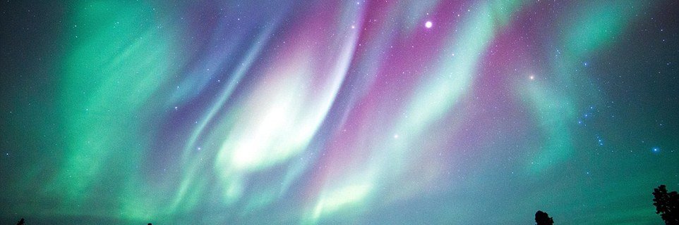 candylynnrose's profile banner image