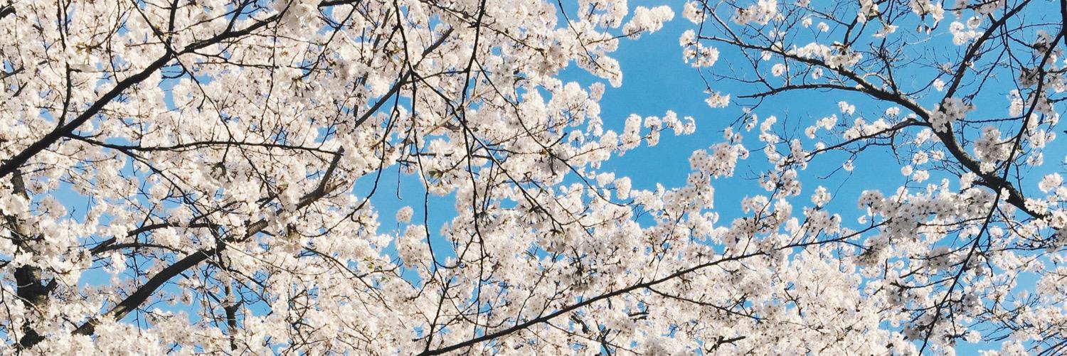 kellyvuong's profile banner image