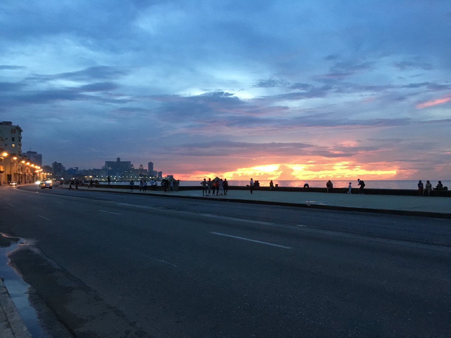 DavidFromTheRose banner