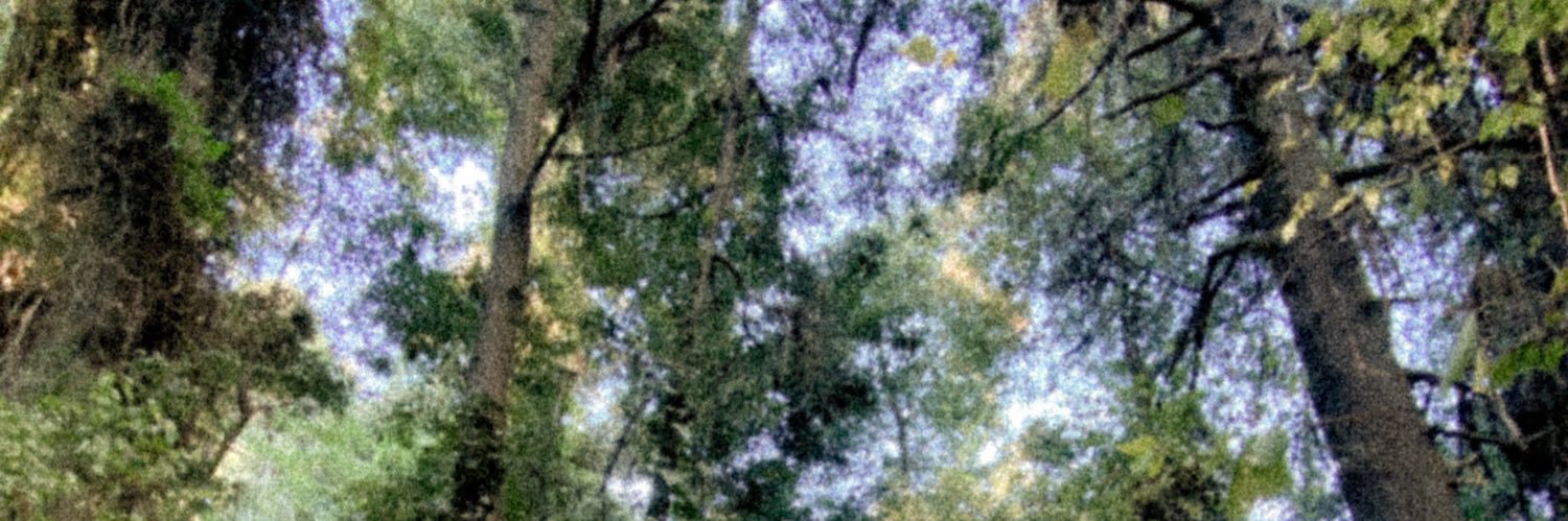 Frankfh93's profile banner image