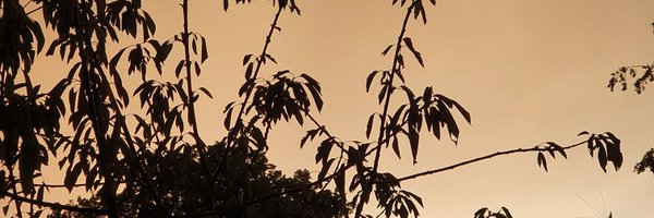 RooneyMo3 Profile Banner