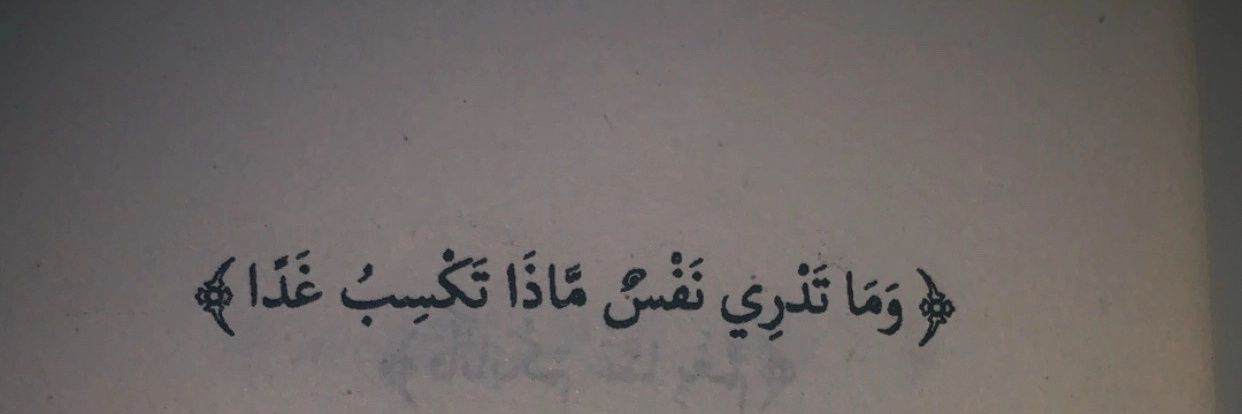 Mo7amedMahmoudd's profile banner image