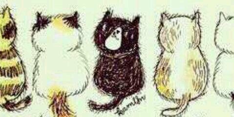 pikuka83's profile banner image