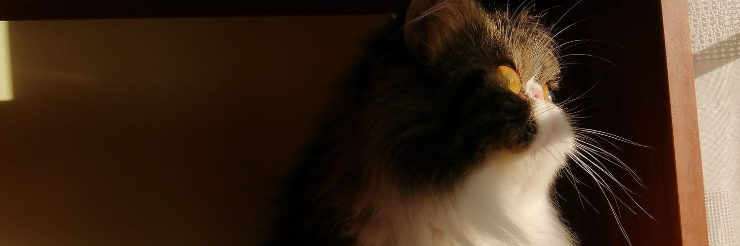 villa_iingrid's profile banner image