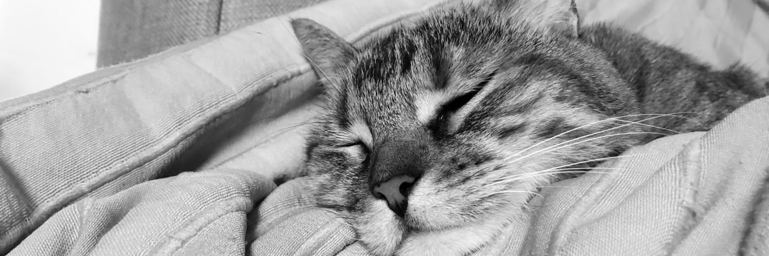 MariiCerda's profile banner image