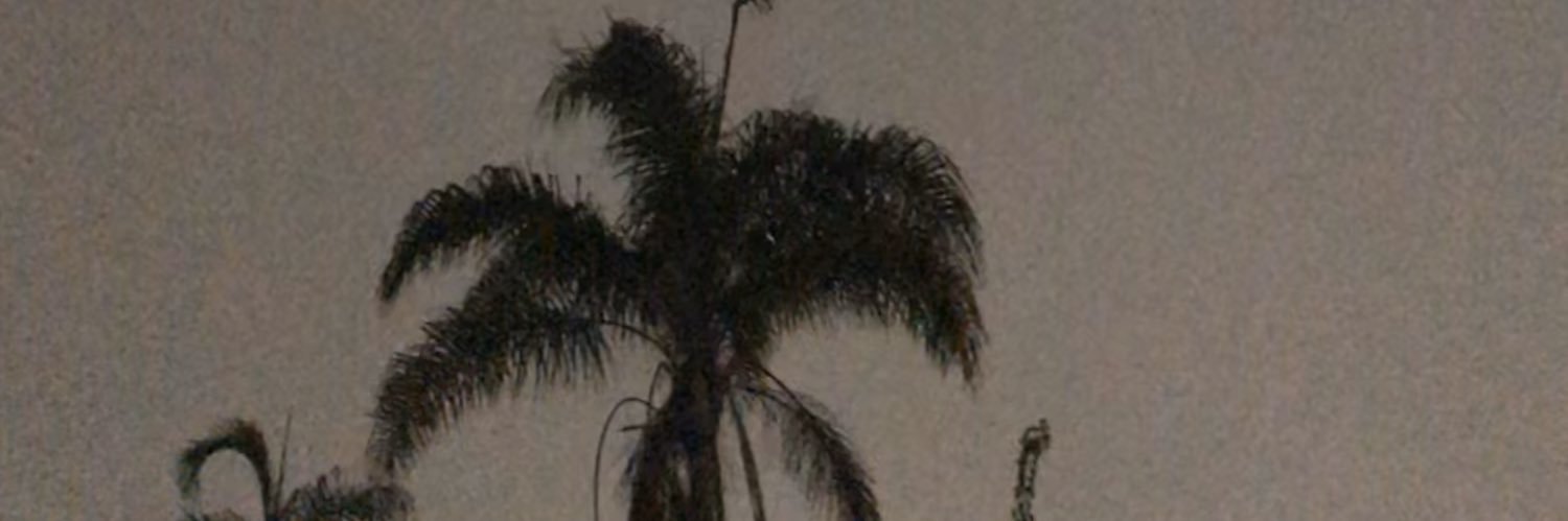 _analise__'s profile banner image