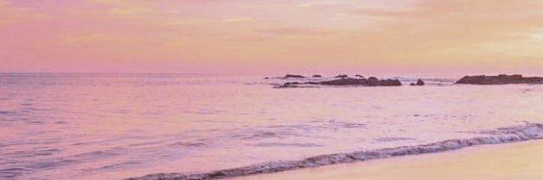 _steffffff's profile banner image