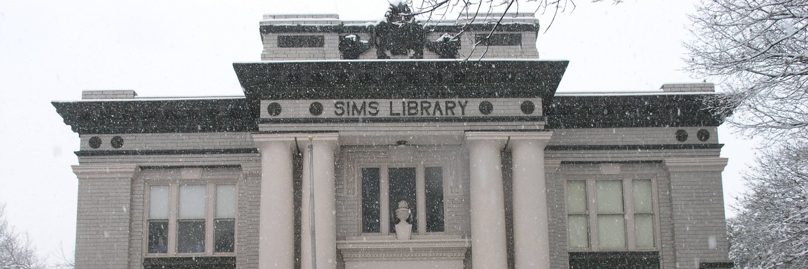 NPSimsLibrary's profile banner image