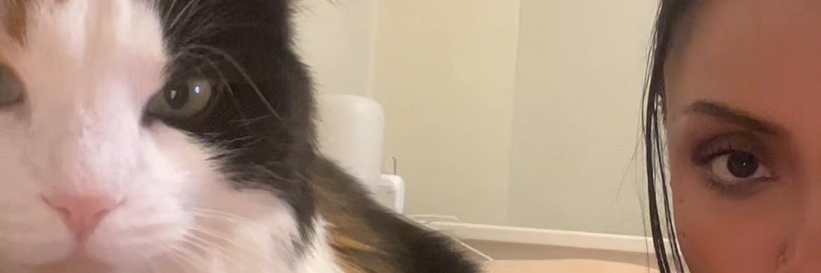 ctrlaltmeem's profile banner image