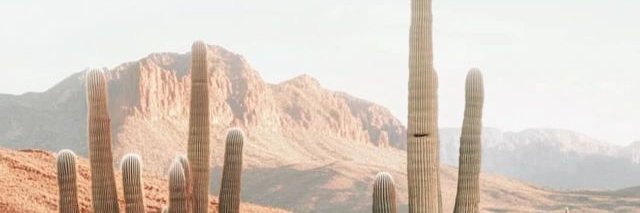 desertstyles's profile banner image