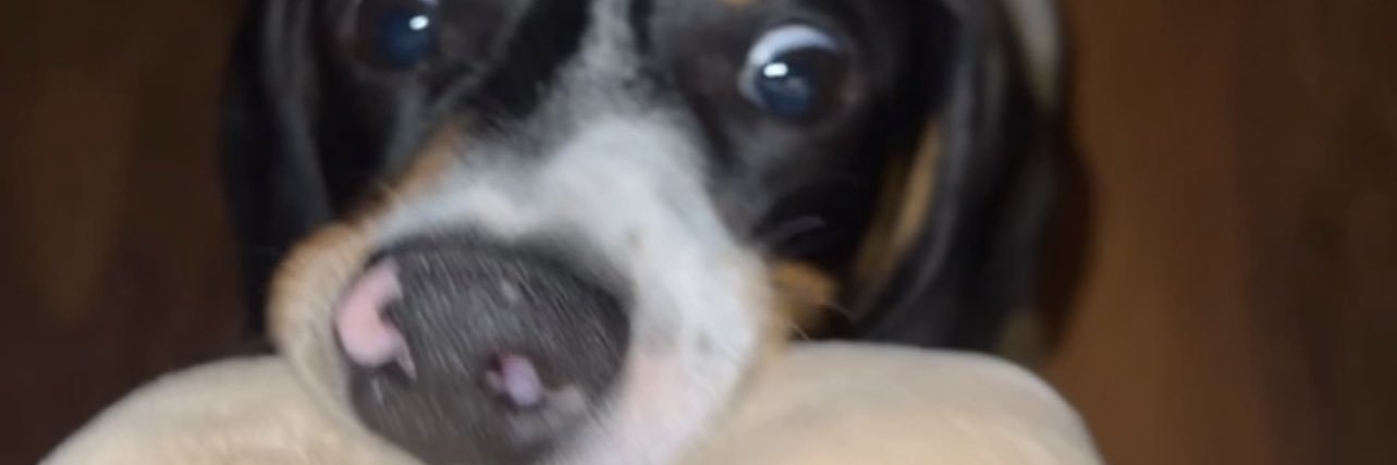 Derek banner