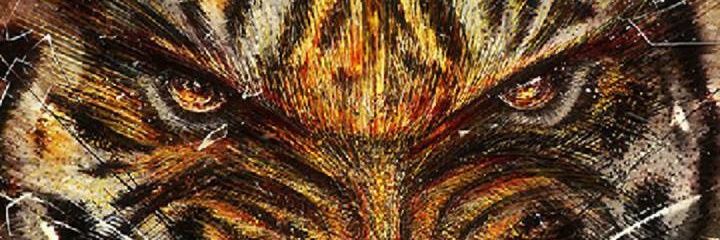 coolrdz's profile banner image
