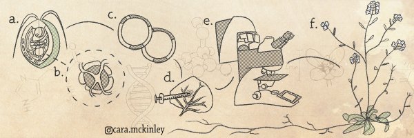 noodlyscientist Profile Banner