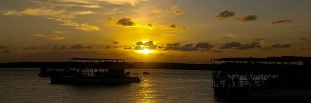 viniciuscoimbr's profile banner image